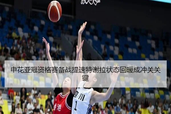 申花亚冠资格赛备战提速特谢拉状态回暖成冲关关键